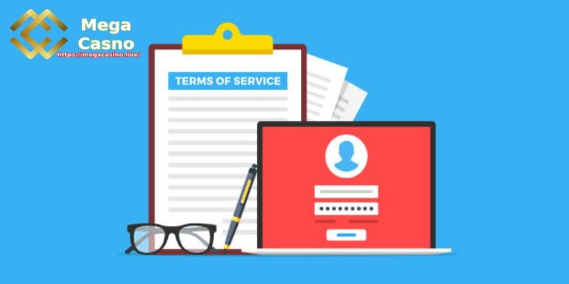 Terms Regarding Deposits and Withdrawals