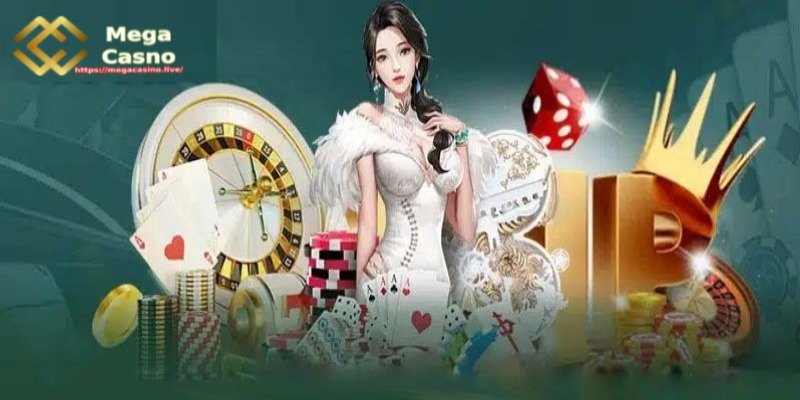 Why You Should Log In to Your Mega Casino Account